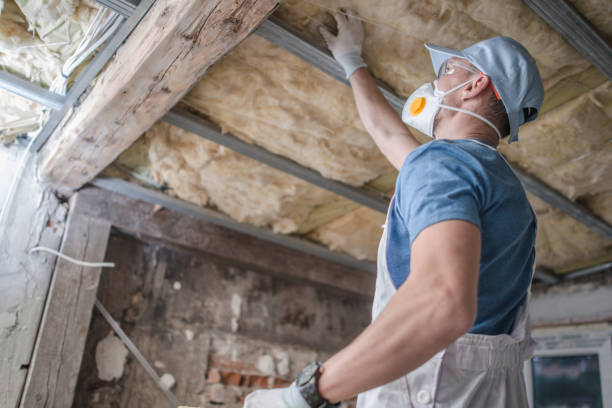 Best Insulation Maintenance and Repair in Centerburg, OH